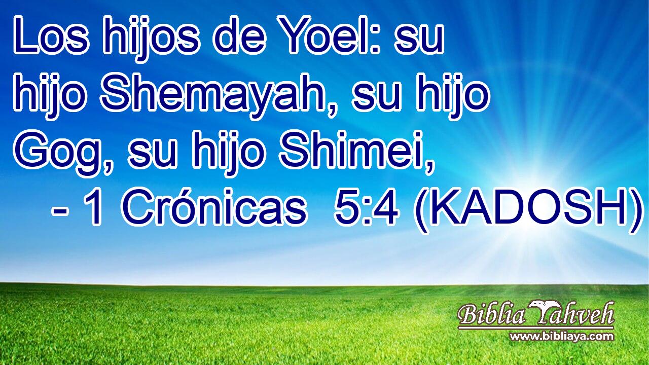  Los hijos de Yoel: su hijo Shemayah, su hijo Gog, su hijo Shimei, 