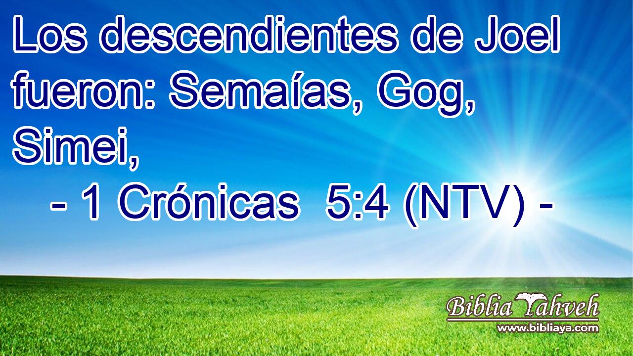 Los descendientes de Joel fueron: Semaías, Gog, Simei,