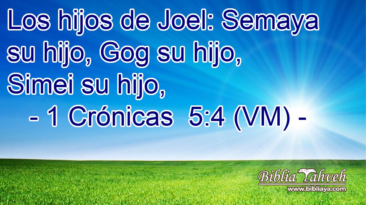  Los hijos de Joel: Semaya su hijo, Gog su hijo, Simei su hijo, 