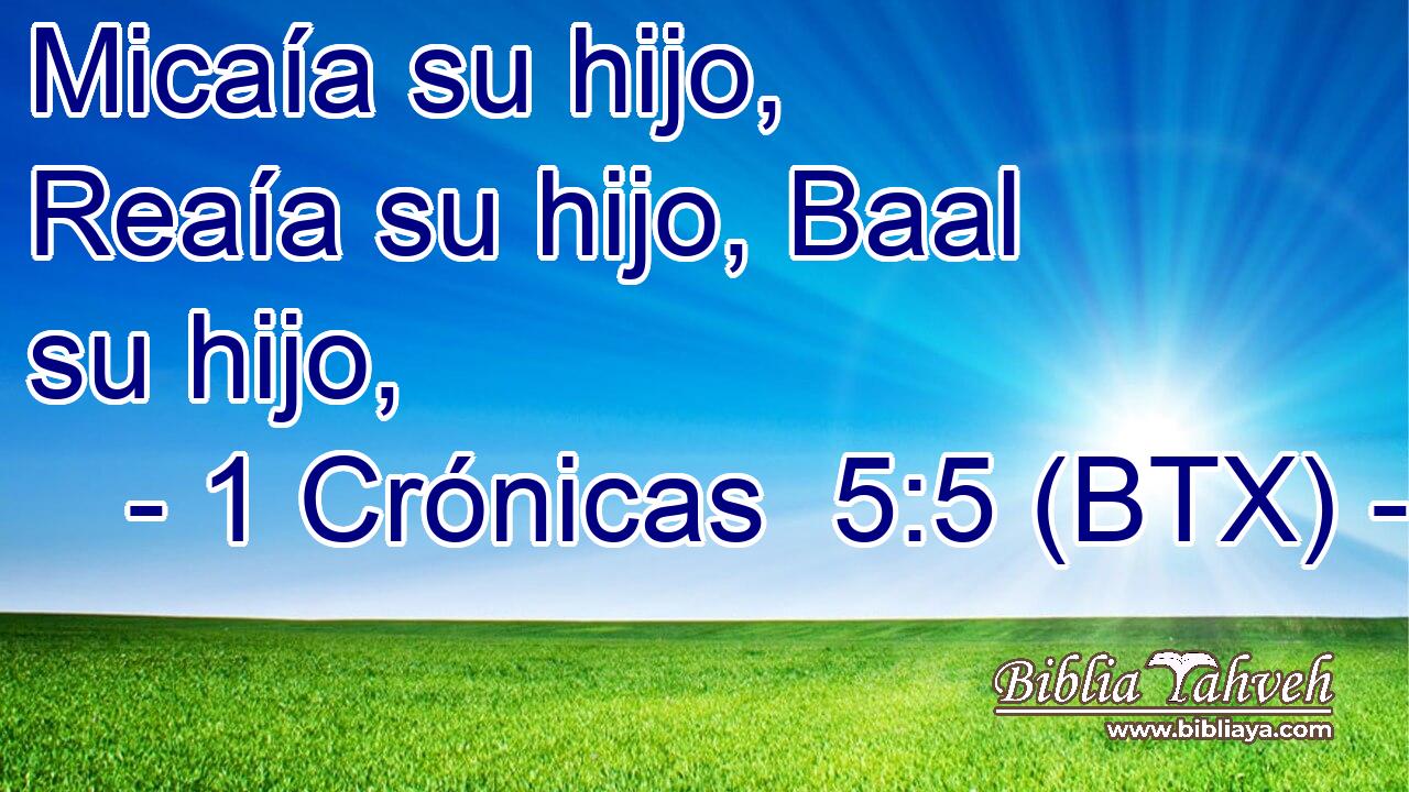 Micaía su hijo, Reaía su hijo, Baal su hijo,