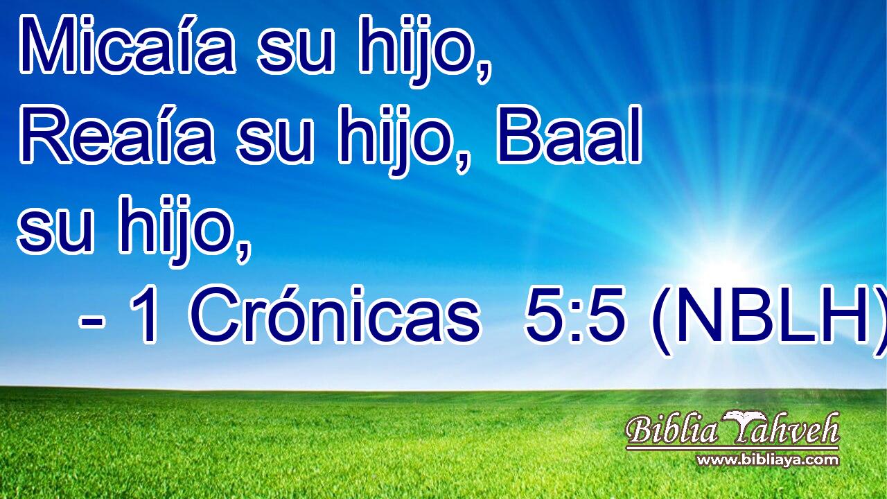  Micaía su hijo, Reaía su hijo, Baal su hijo, 