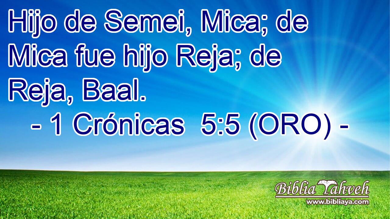  Hijo de Semei, Mica; de Mica fue hijo Reja; de Reja, Baal. 