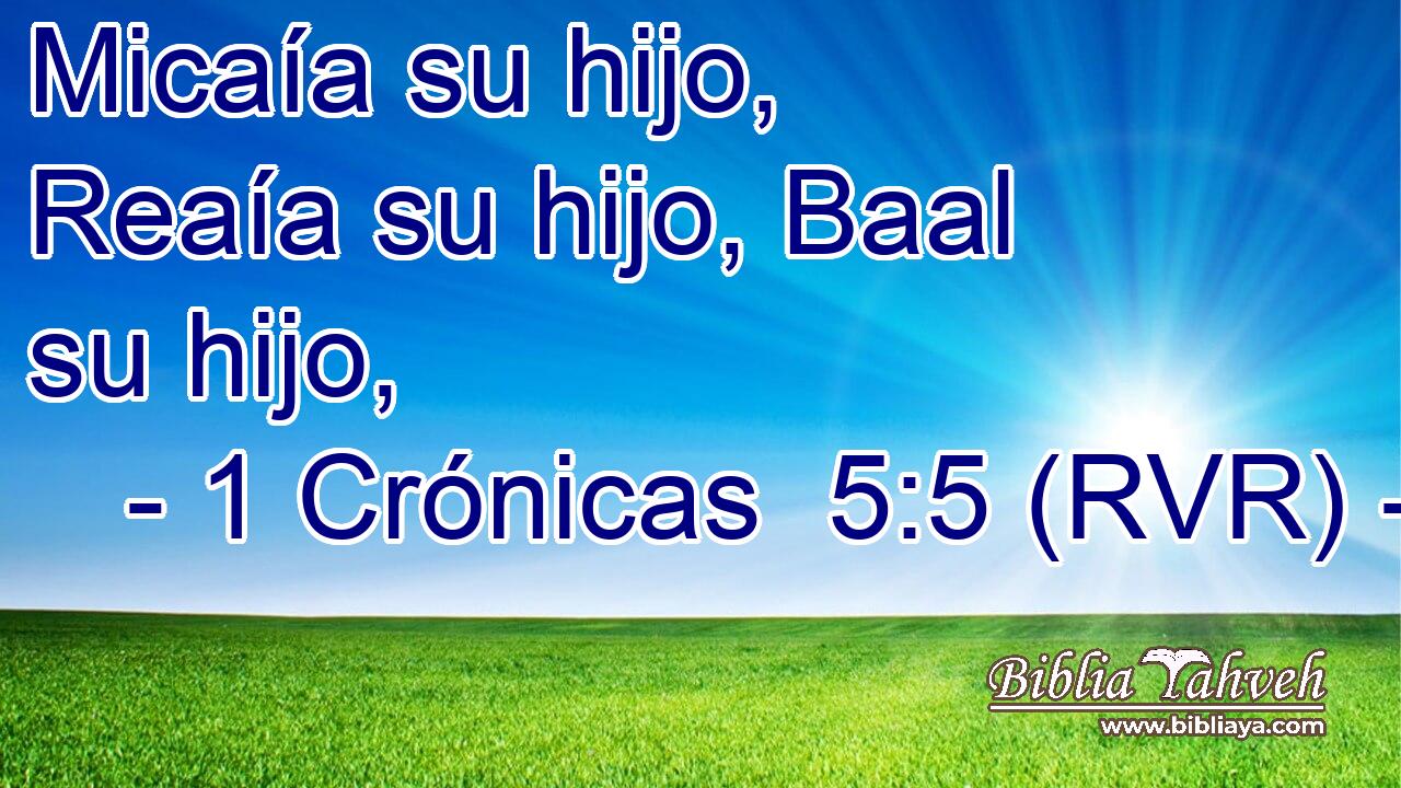 Micaía su hijo, Reaía su hijo, Baal su hijo,