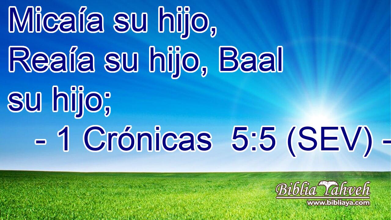 Micaía su hijo, Reaía su hijo, Baal su hijo;