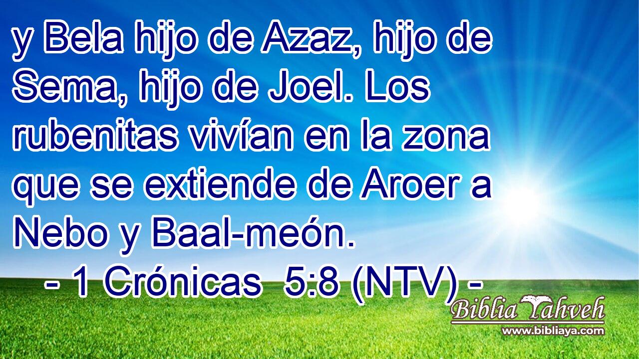 y Bela hijo de Azaz, hijo de Sema, hijo de Joel. Los rubenitas vivían en la zona que se extiende de Aroer a Nebo y Baal-meón.