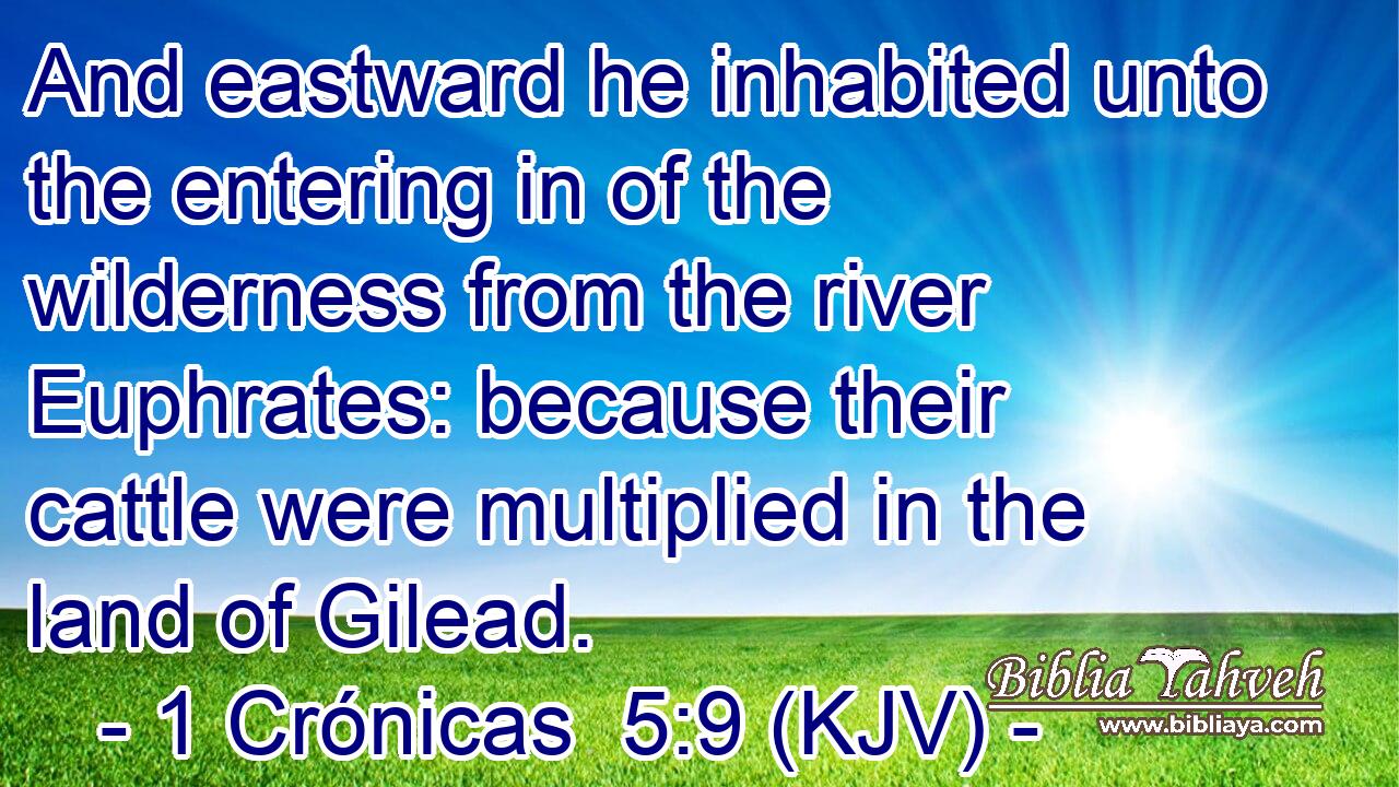 And eastward he inhabited unto the entering in of the wilderness from the river Euphrates: because their cattle were multiplied in the land of Gilead.