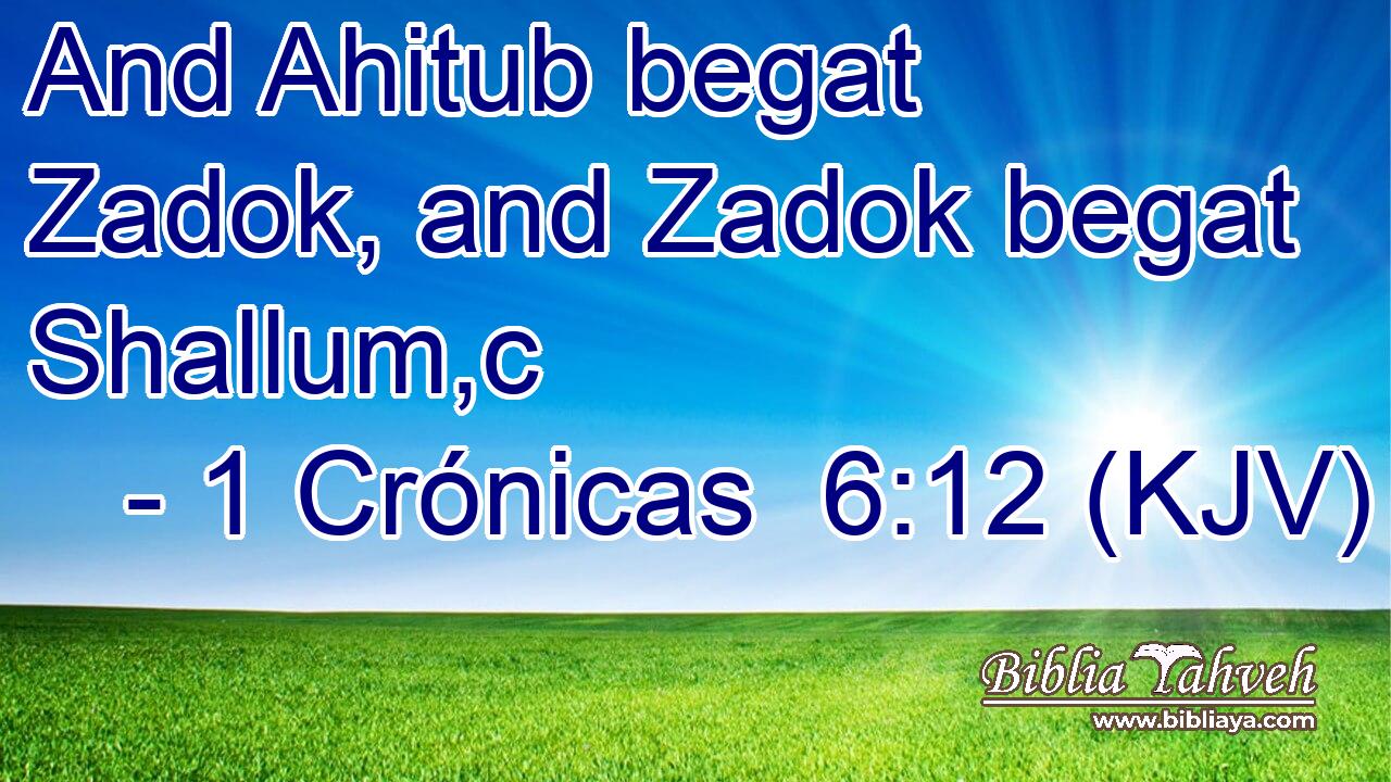And Ahitub begat Zadok, and Zadok begat Shallum,c
