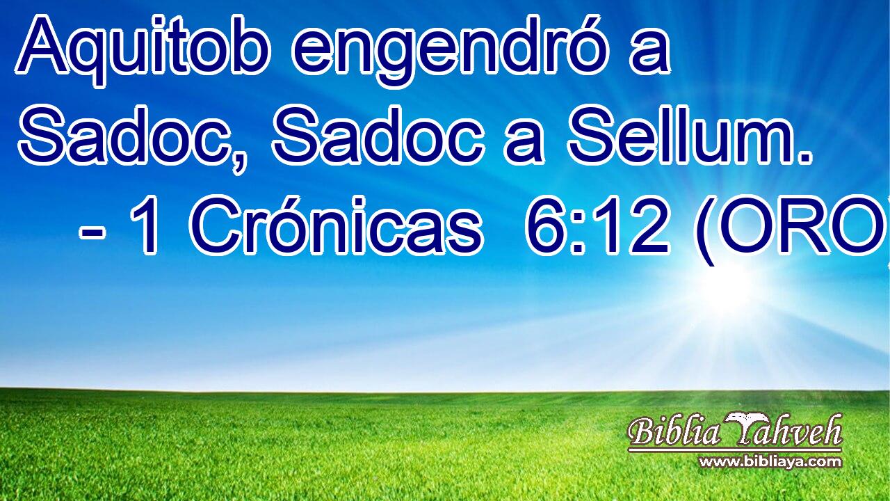  Aquitob engendró a Sadoc, Sadoc a Sellum. 