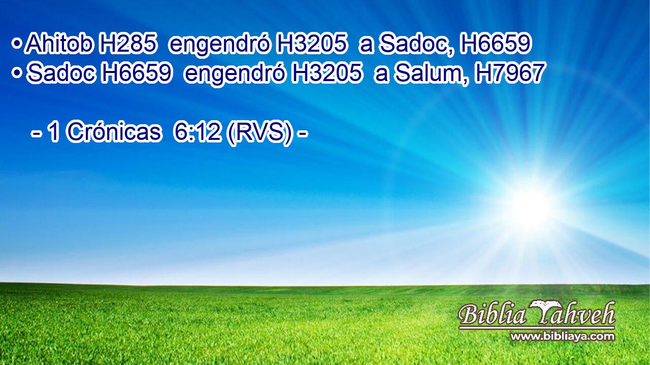 • Ahitob H285  engendró H3205  a Sadoc, H6659  • Sadoc H6659  engendró H3205  a Salum, H7967  
