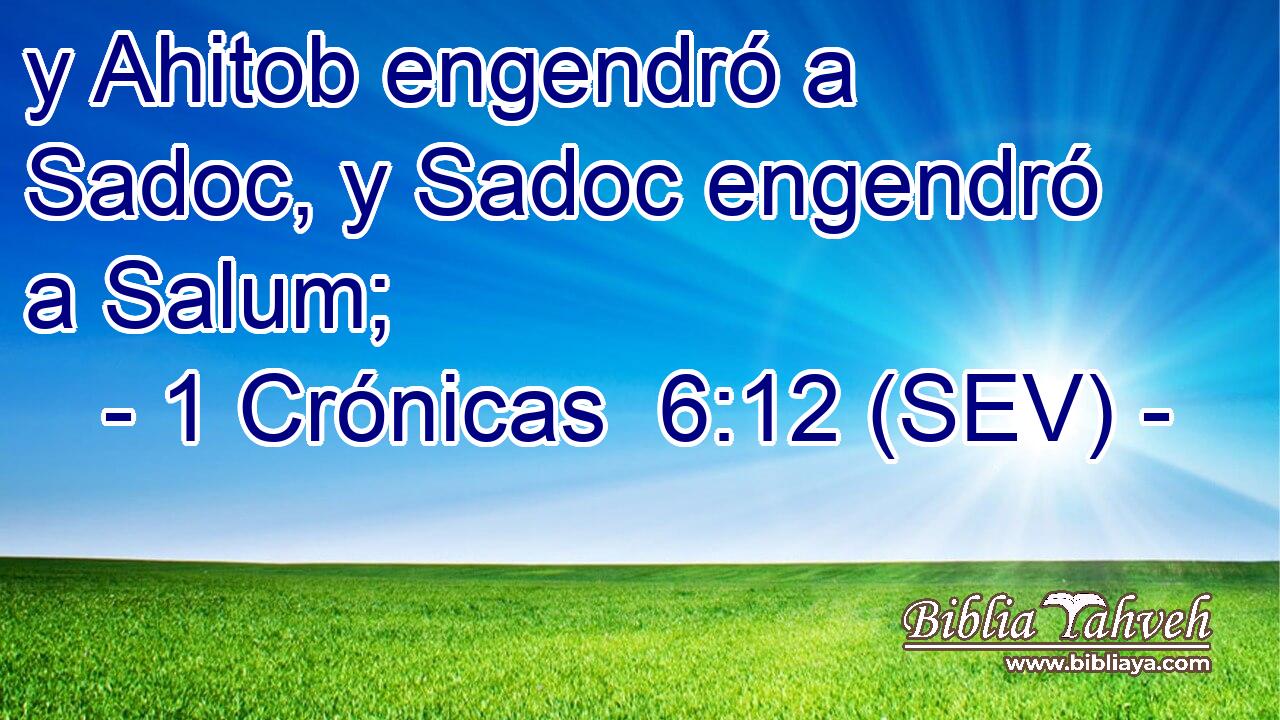 y Ahitob engendró a Sadoc, y Sadoc engendró a Salum;
