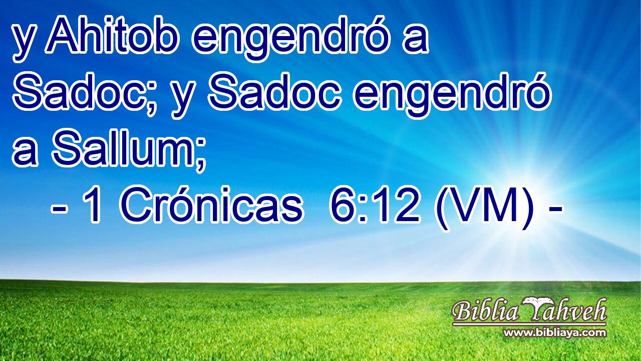  y Ahitob engendró a Sadoc; y Sadoc engendró a Sallum; 