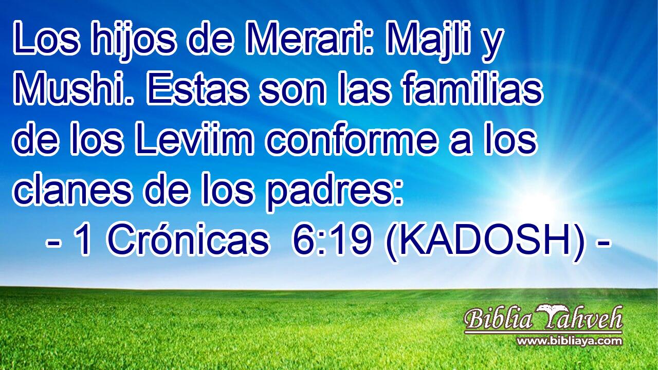  Los hijos de Merari: Majli y Mushi. Estas son las familias de los Leviim conforme a los clanes de los padres: 