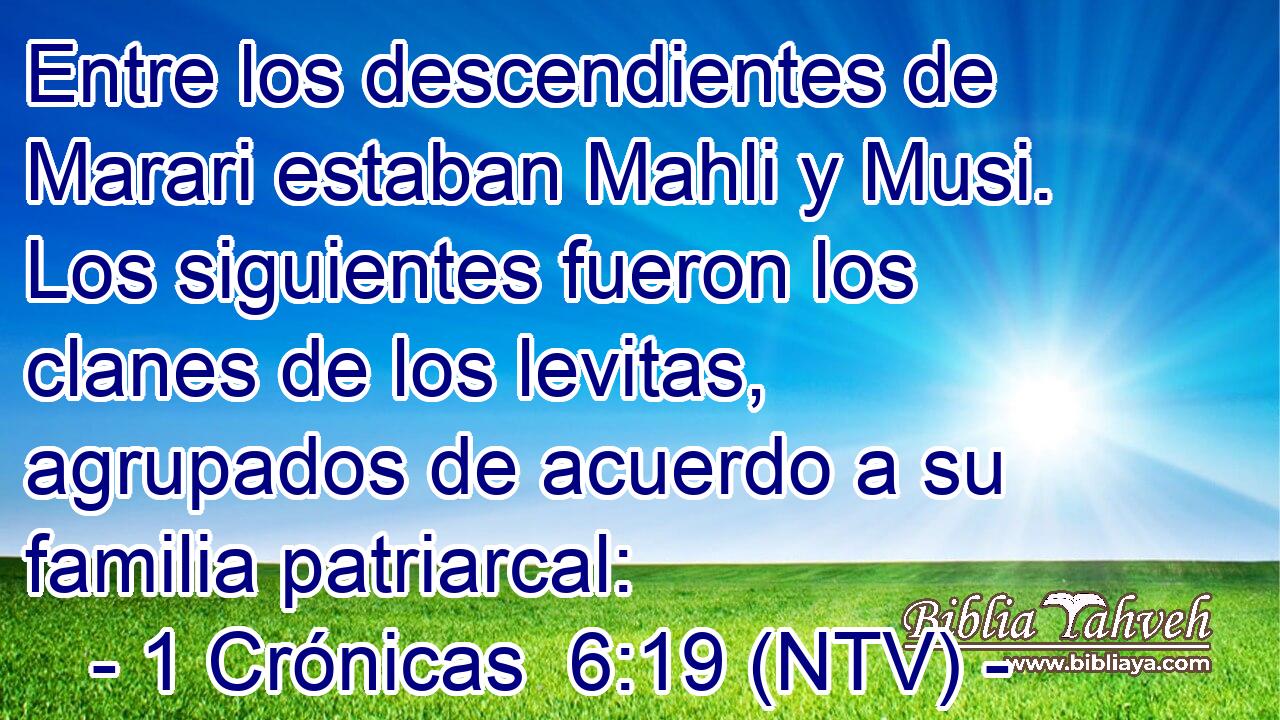 Entre los descendientes de Marari estaban Mahli y Musi. Los siguientes fueron los clanes de los levitas, agrupados de acuerdo a su familia patriarcal: