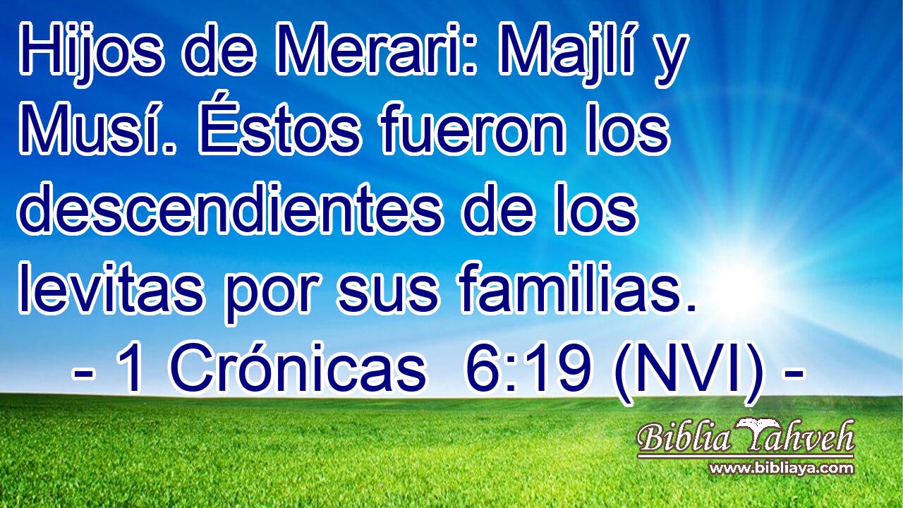  Hijos de Merari: Majlí y Musí. Éstos fueron los descendientes de los levitas por sus familias. 