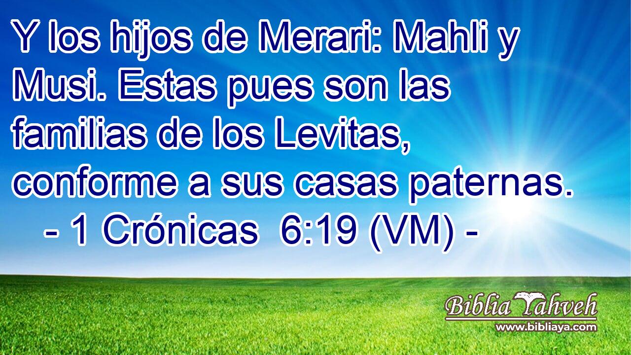  Y los hijos de Merari: Mahli y Musi. Estas pues son las familias de los Levitas, conforme a sus casas paternas. 