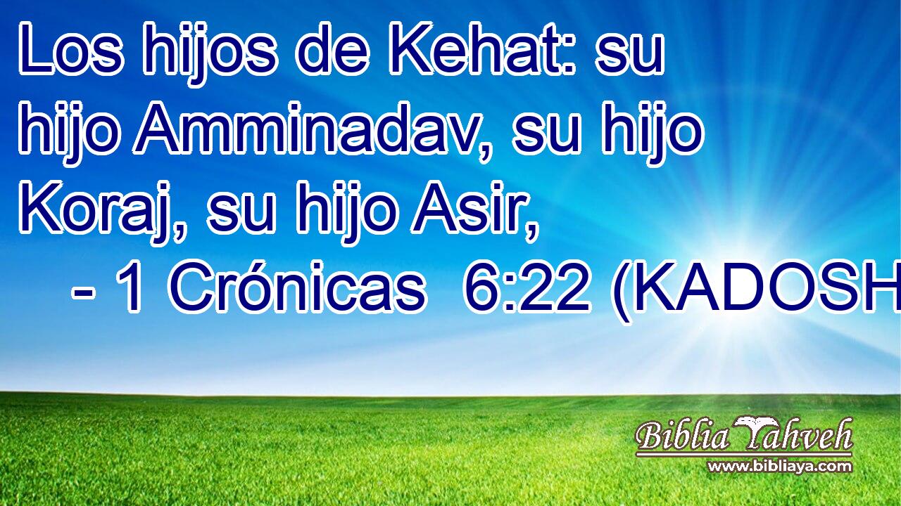  Los hijos de Kehat: su hijo Amminadav, su hijo Koraj, su hijo Asir, 