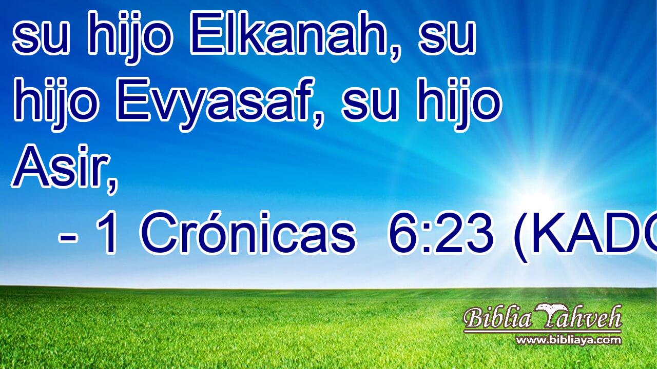  su hijo Elkanah, su hijo Evyasaf, su hijo Asir, 