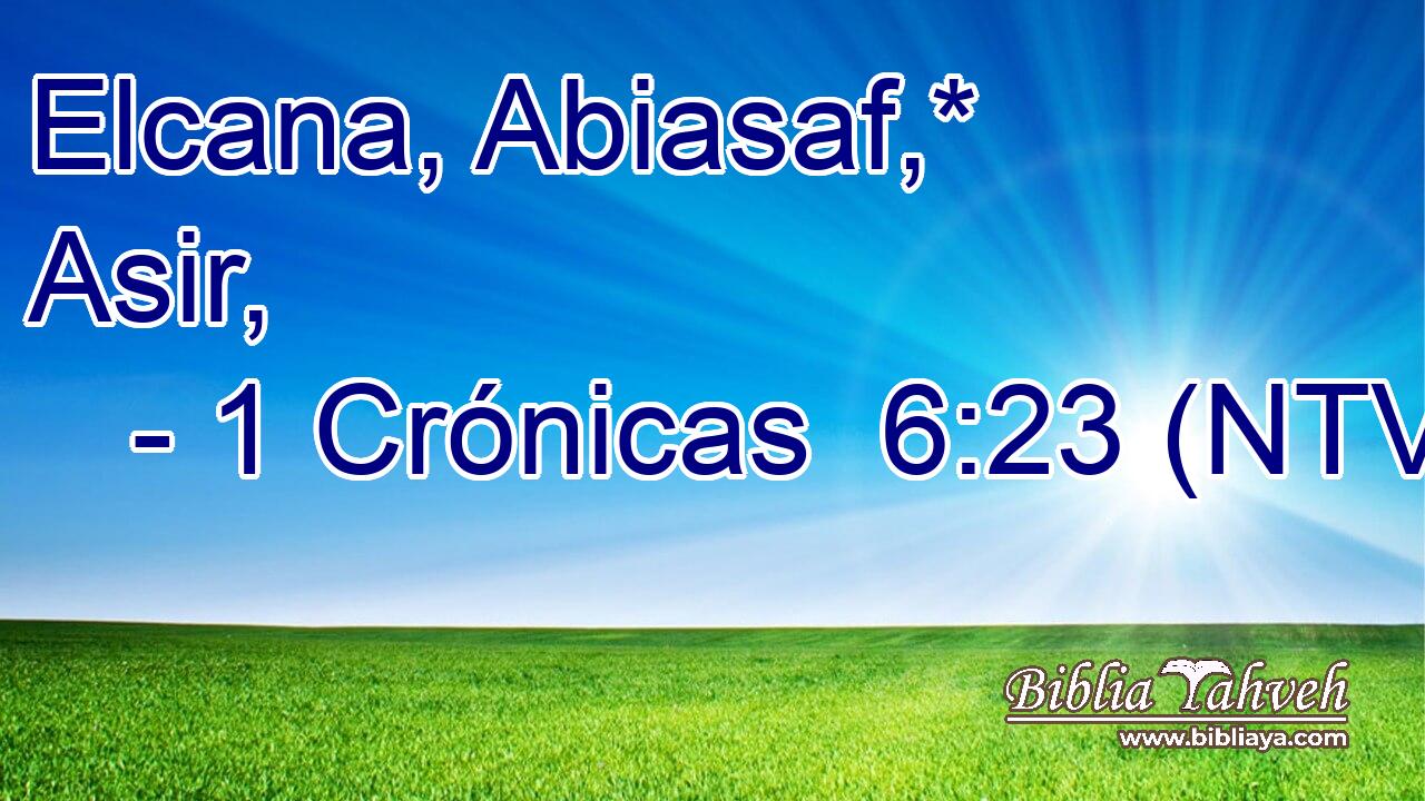 Elcana, Abiasaf,* Asir,