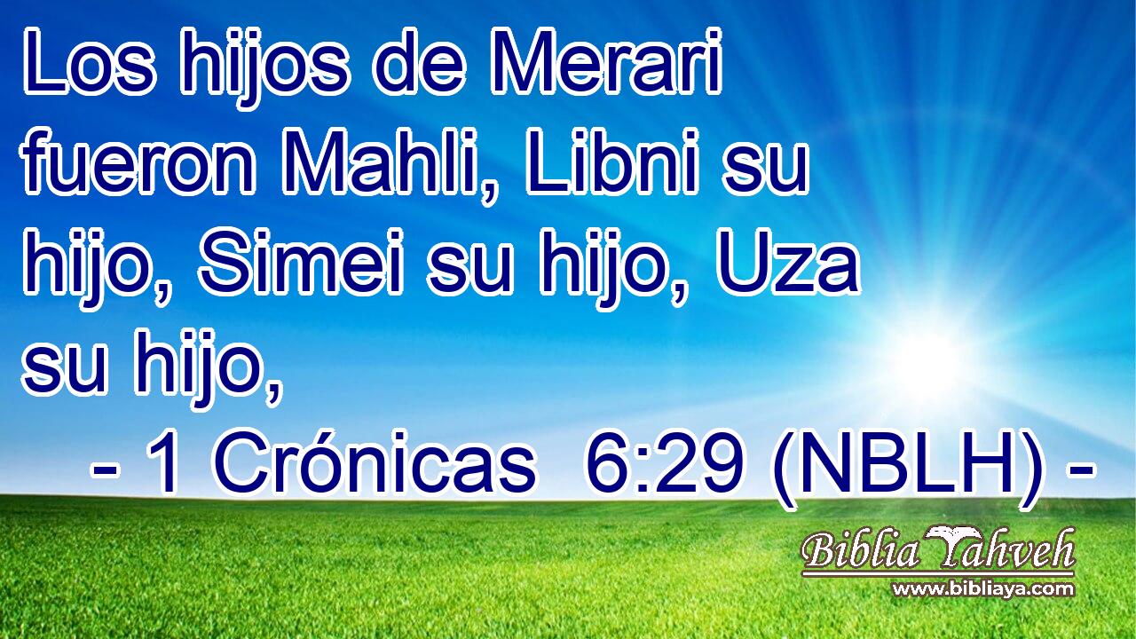 Los hijos de Merari fueron Mahli, Libni su hijo, Simei su hijo, Uza su hijo, 