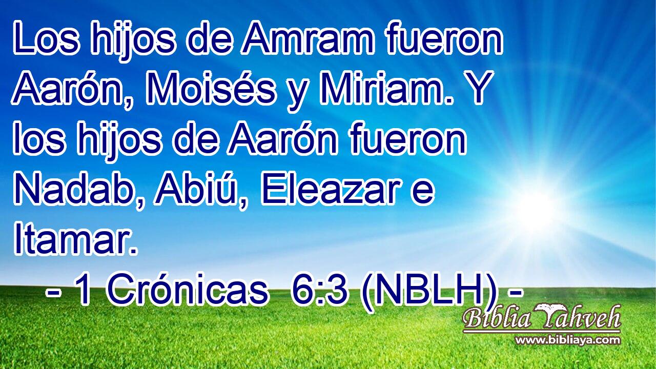  Los hijos de Amram fueron Aarón, Moisés y Miriam. Y los hijos de Aarón fueron Nadab, Abiú, Eleazar e Itamar. 