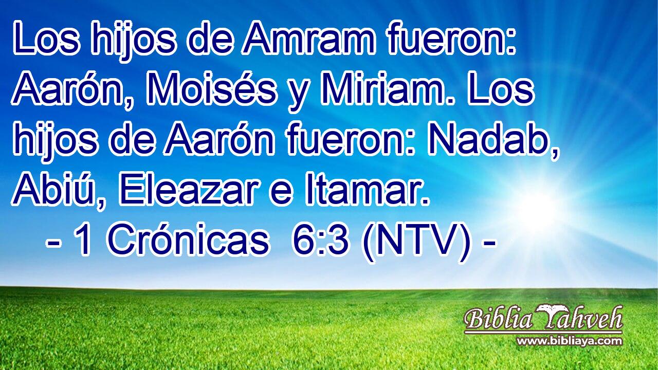 Los hijos de Amram fueron: Aarón, Moisés y Miriam. Los hijos de Aarón fueron: Nadab, Abiú, Eleazar e Itamar.