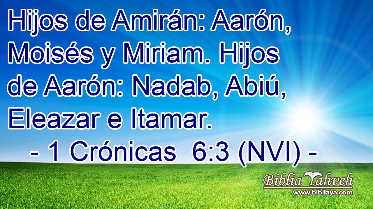  Hijos de Amirán: Aarón, Moisés y Miriam. Hijos de Aarón: Nadab, Abiú, Eleazar e Itamar. 