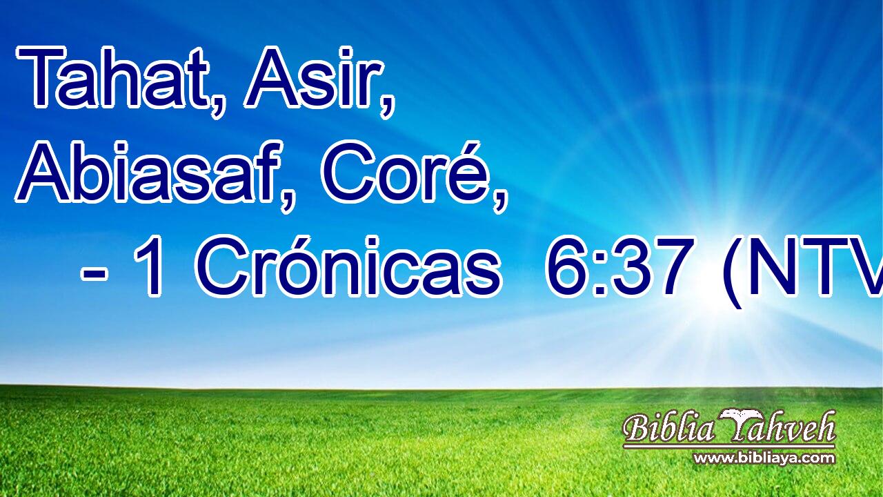Tahat, Asir, Abiasaf, Coré,