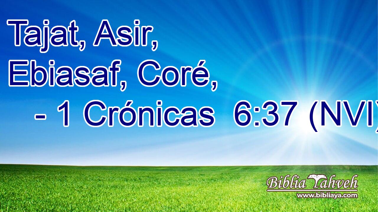 Tajat, Asir, Ebiasaf, Coré, 