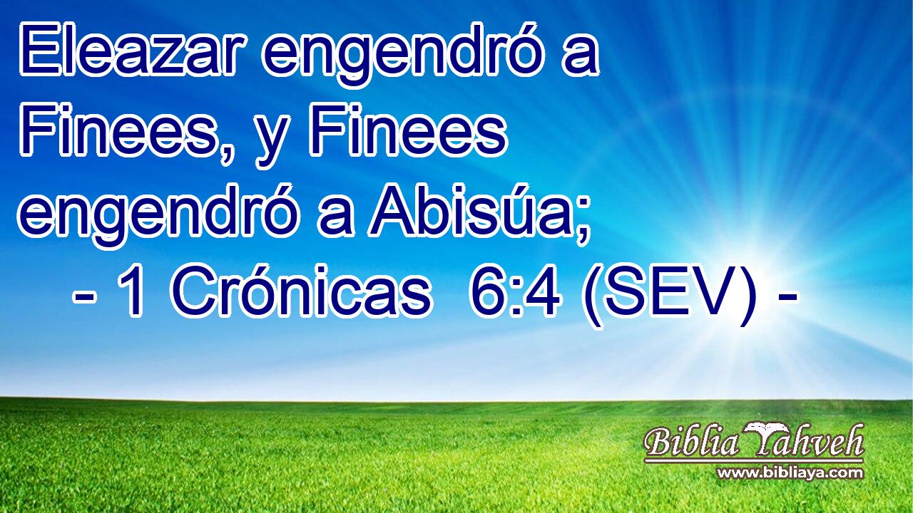 Eleazar engendró a Finees, y Finees engendró a Abisúa;