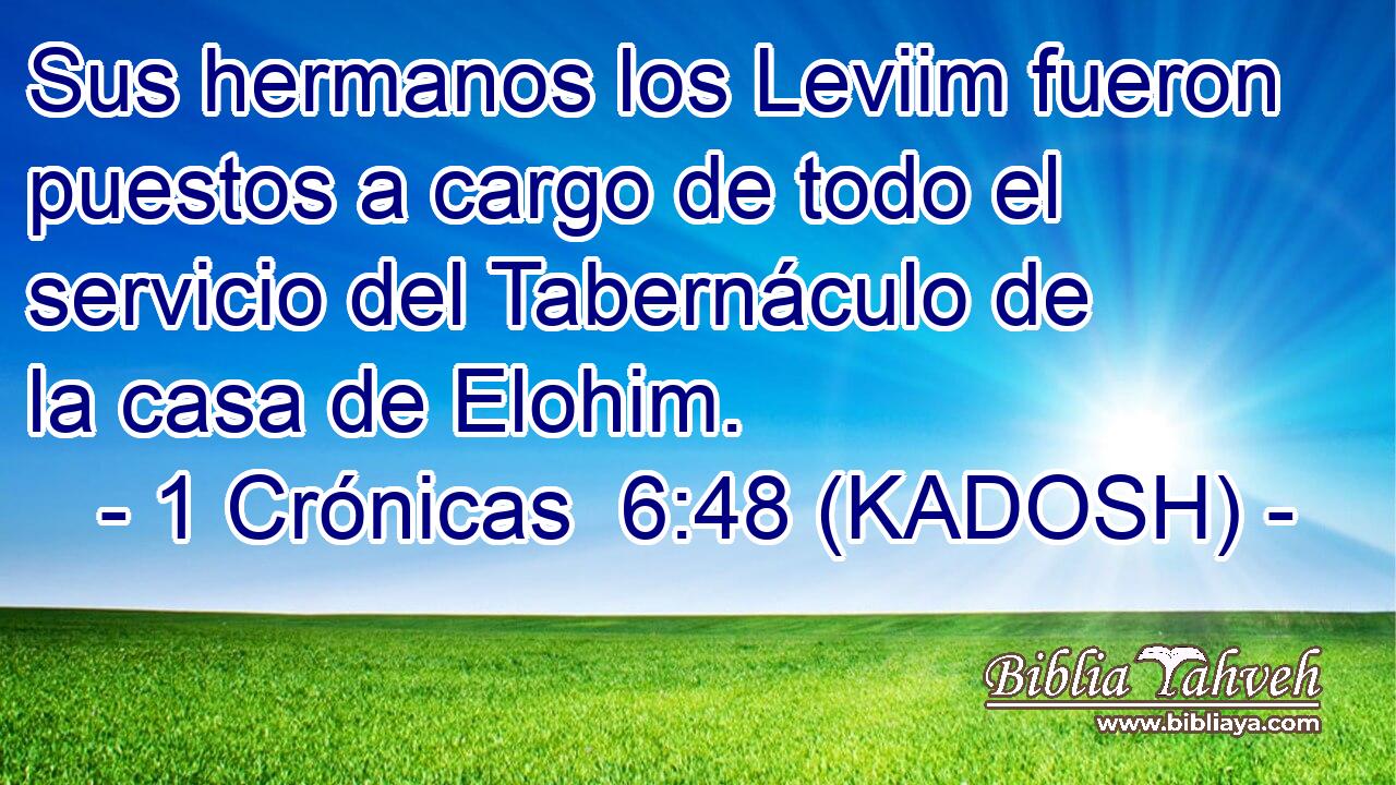  Sus hermanos los Leviim fueron puestos a cargo de todo el servicio del Tabernáculo de la casa de Elohim. 