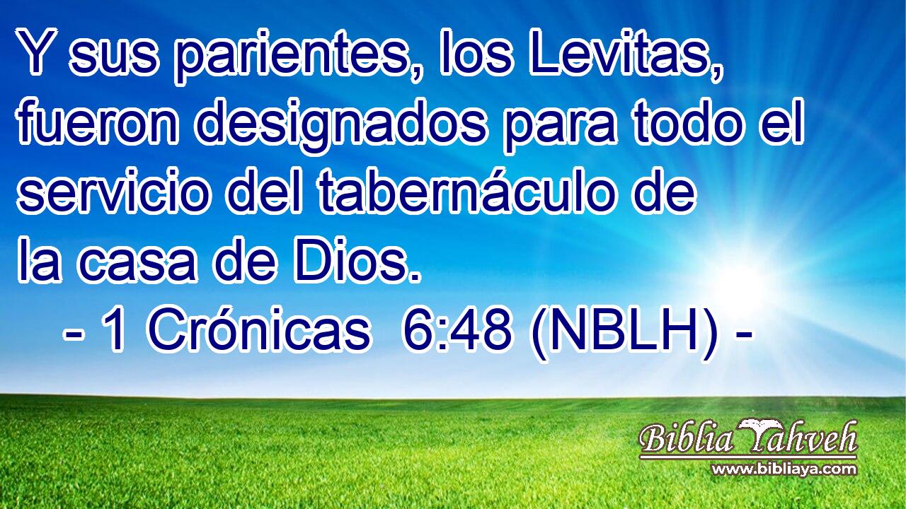  Y sus parientes, los Levitas, fueron designados para todo el servicio del tabernáculo de la casa de Dios. 