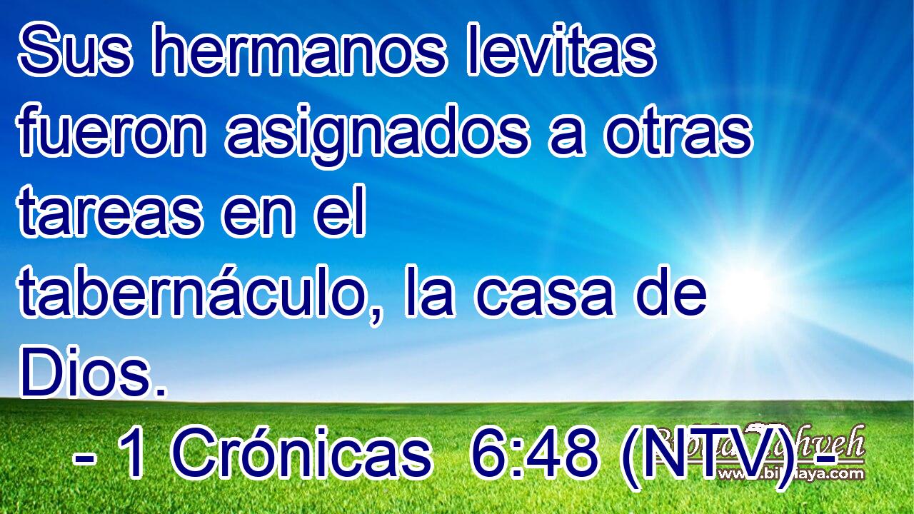 Sus hermanos levitas fueron asignados a otras tareas en el tabernáculo, la casa de Dios.