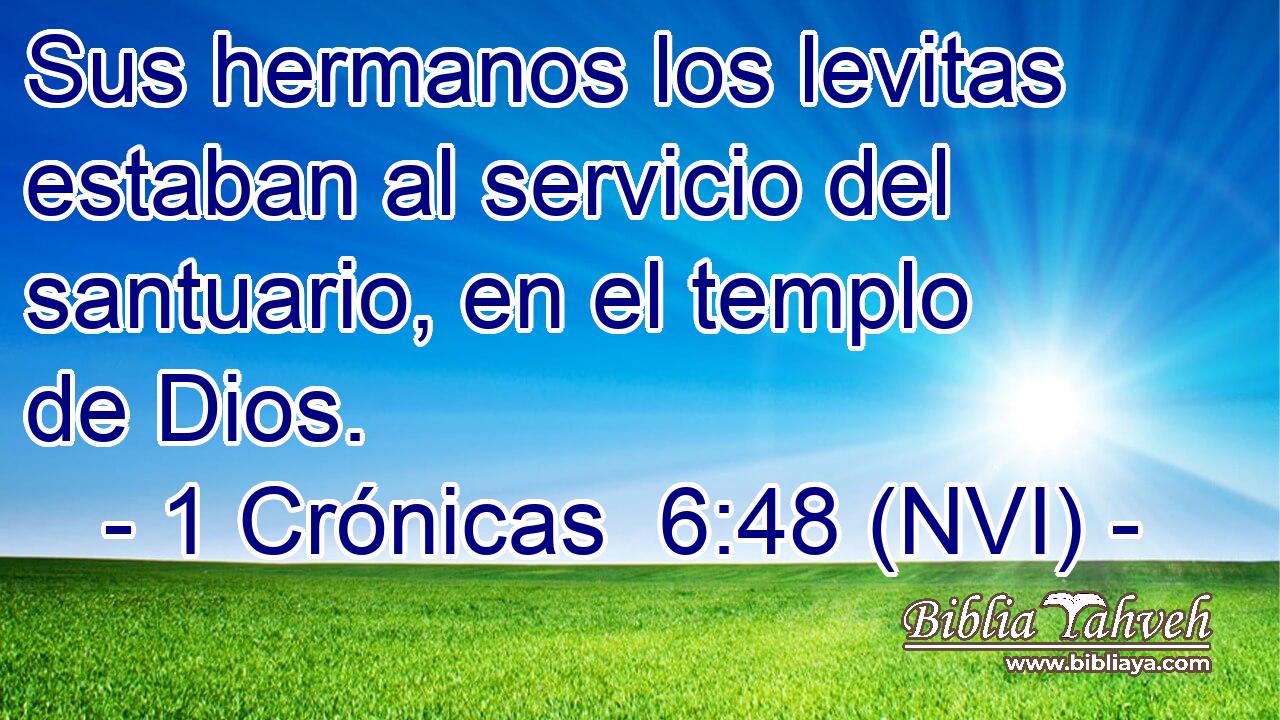  Sus hermanos los levitas estaban al servicio del santuario, en el templo de Dios. 