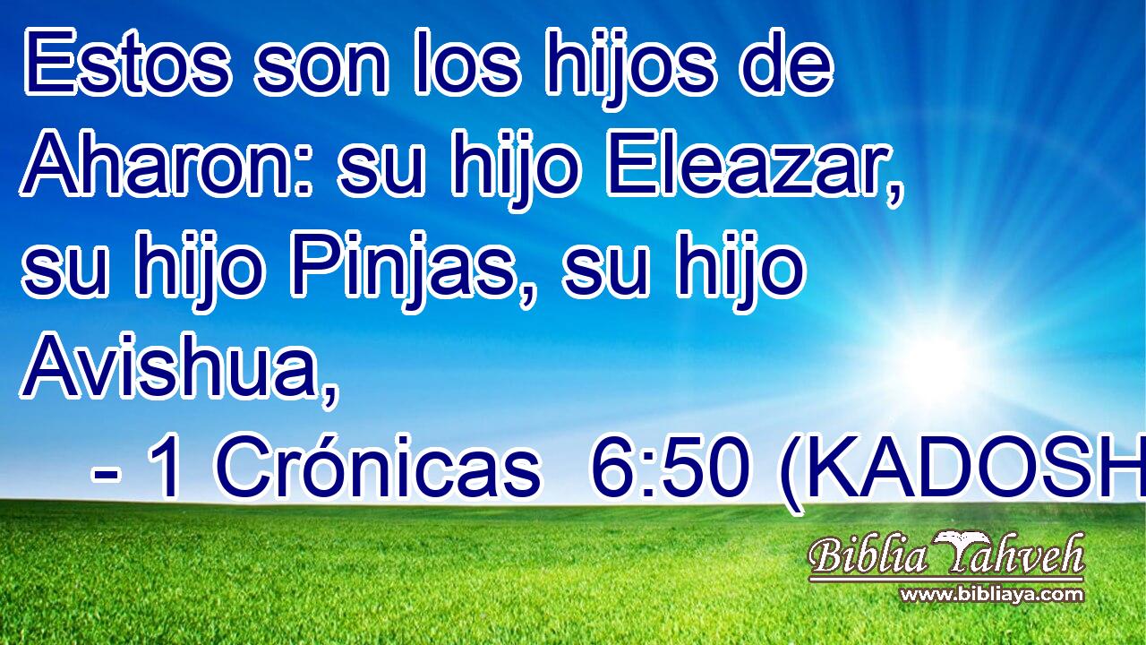  Estos son los hijos de Aharon: su hijo Eleazar, su hijo Pinjas, su hijo Avishua, 