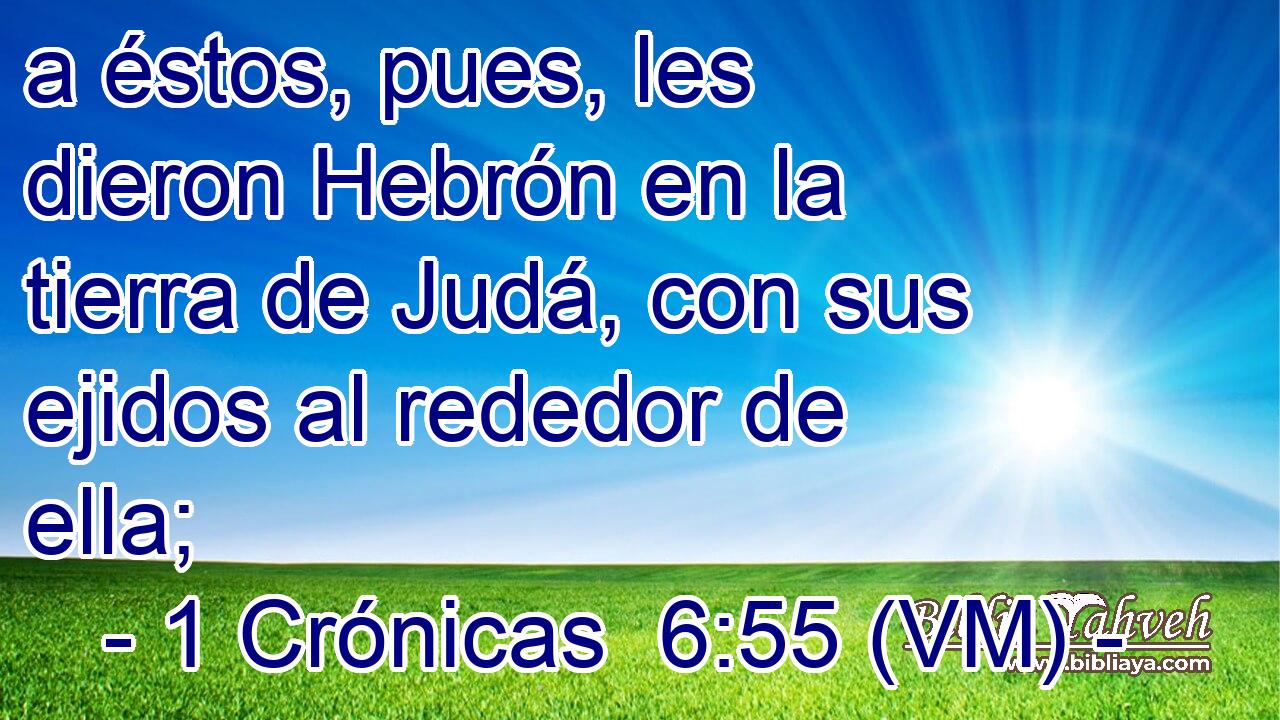  a éstos, pues, les dieron Hebrón en la tierra de Judá, con sus ejidos al rededor de ella; 
