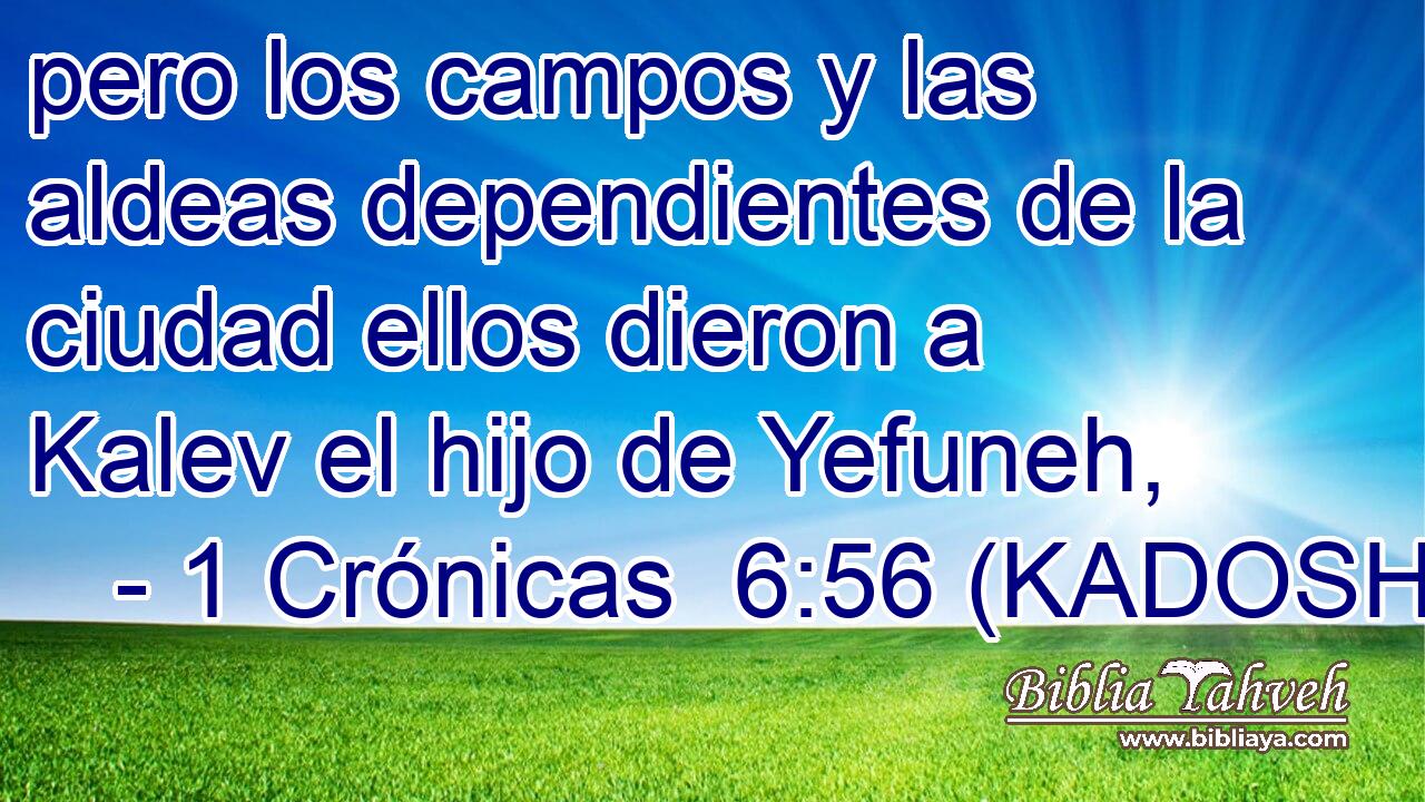 pero los campos y las aldeas dependientes de la ciudad ellos dieron a Kalev el hijo de Yefuneh, 