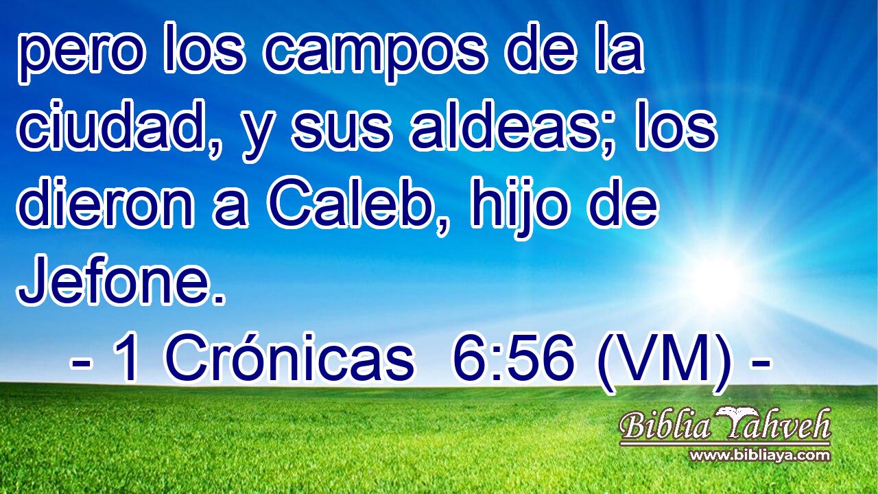 pero los campos de la ciudad, y sus aldeas; los dieron a Caleb, hijo de Jefone. 