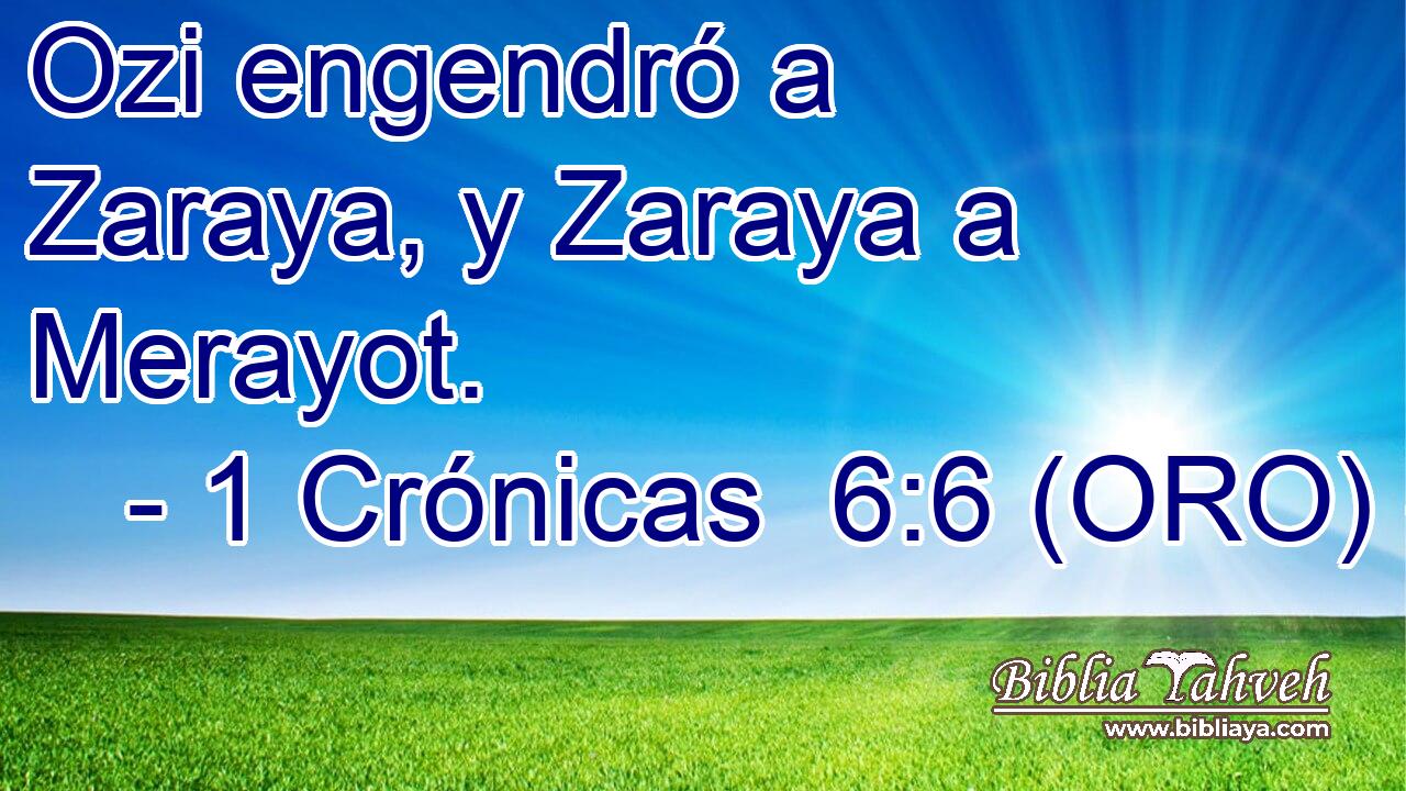  Ozi engendró a Zaraya, y Zaraya a Merayot. 