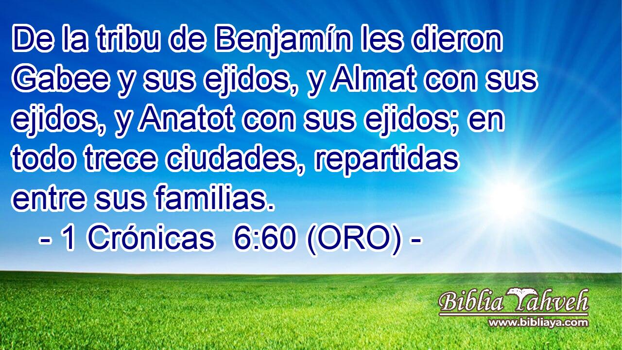  De la tribu de Benjamín les dieron Gabee y sus ejidos, y Almat con sus ejidos, y Anatot con sus ejidos; en todo trece ciudades, repartidas entre sus familias. 