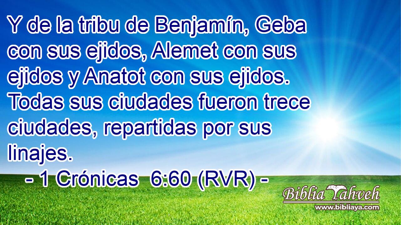 Y de la tribu de Benjamín, Geba con sus ejidos, Alemet con sus ejidos y Anatot con sus ejidos. Todas sus ciudades fueron trece ciudades, repartidas por sus linajes.