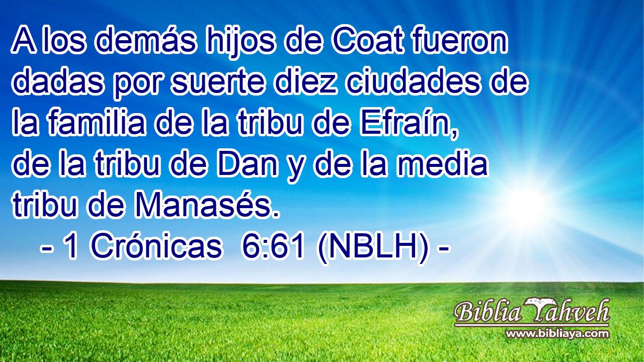  A los demás hijos de Coat fueron dadas por suerte diez ciudades de la familia de la tribu de Efraín, de la tribu de Dan y de la media tribu de Manasés. 
