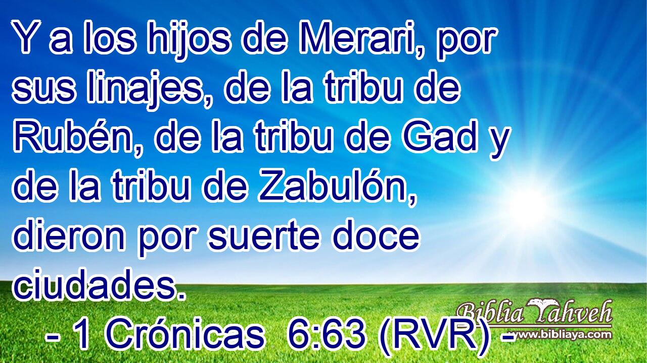 Y a los hijos de Merari, por sus linajes, de la tribu de Rubén, de la tribu de Gad y de la tribu de Zabulón, dieron por suerte doce ciudades.