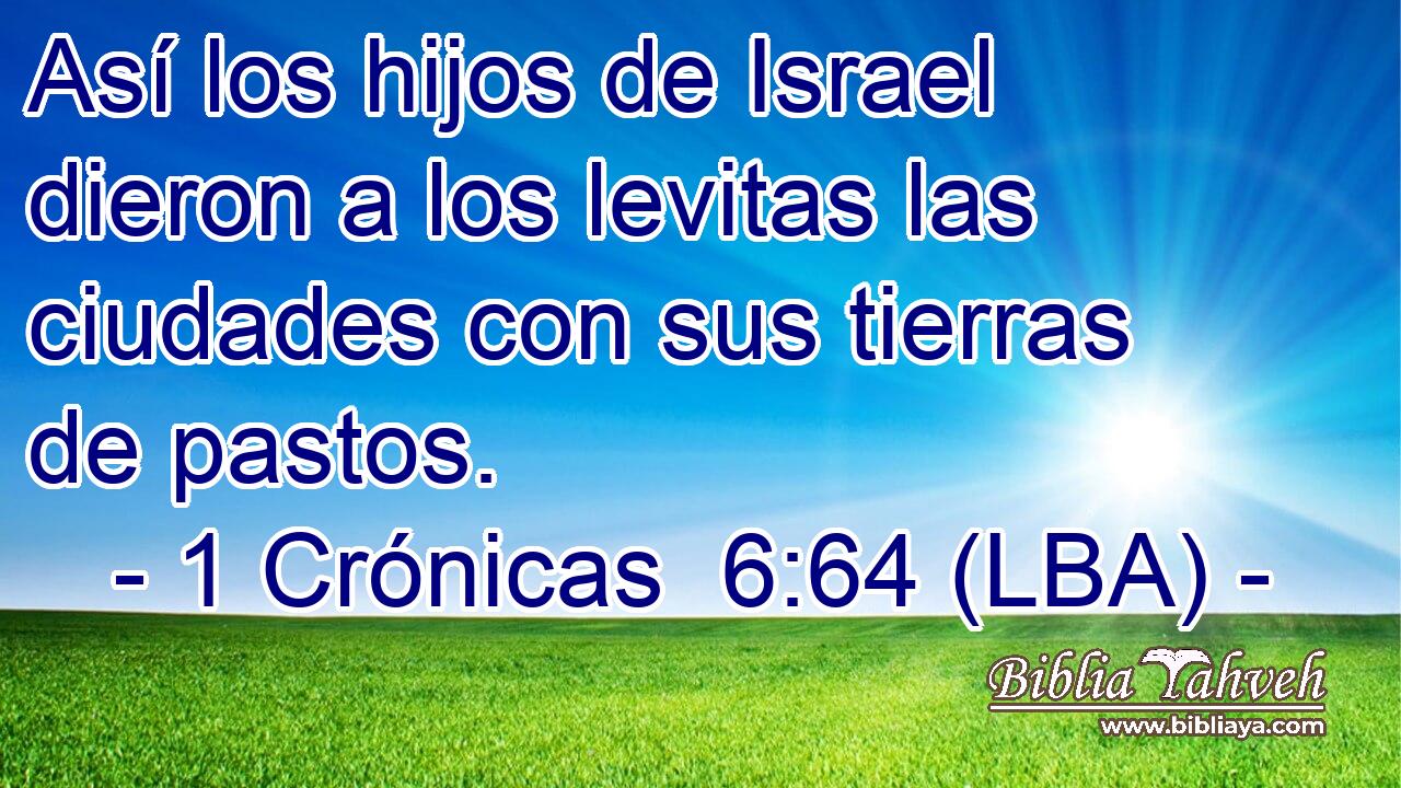 Así los hijos de Israel dieron a los levitas las ciudades con sus tierras de pastos.