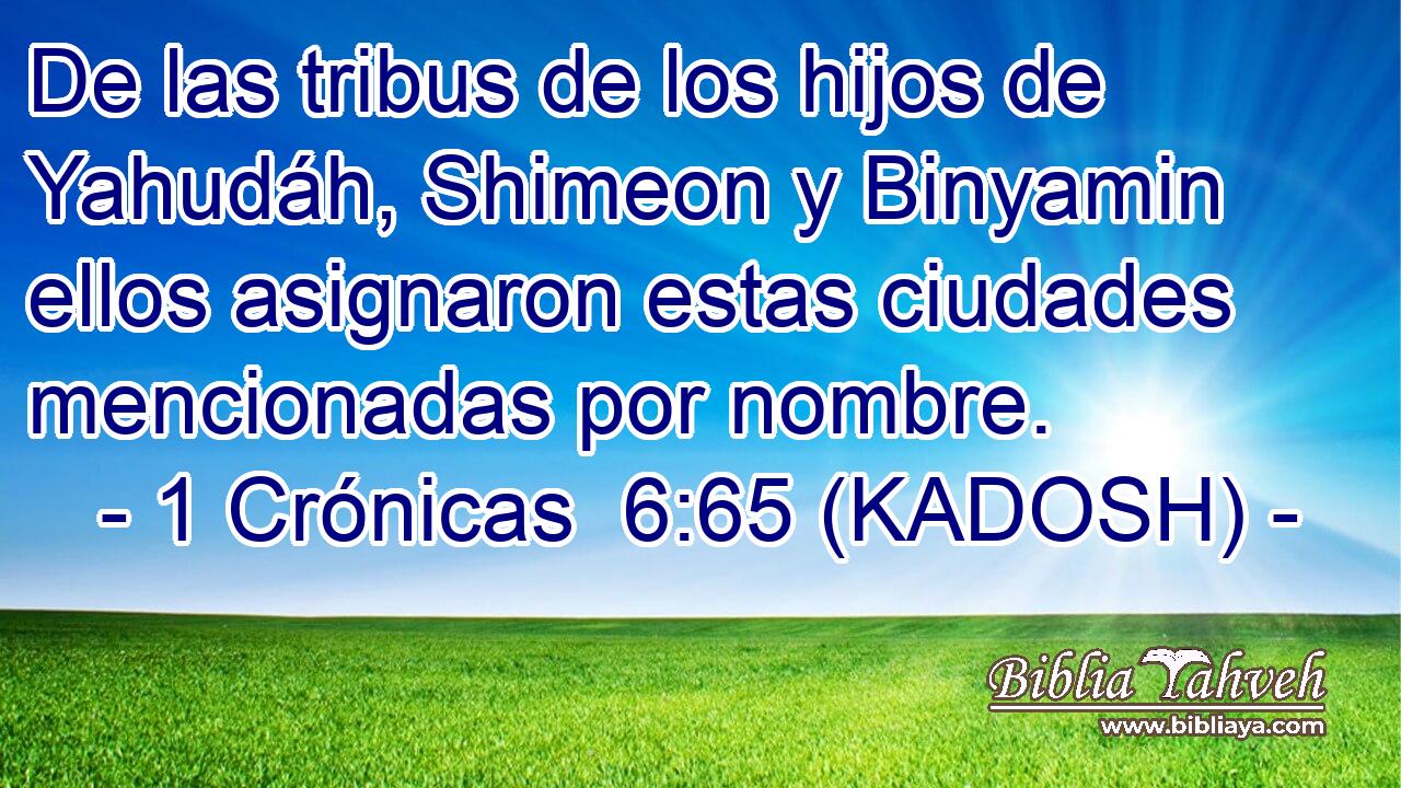  De las tribus de los hijos de Yahudáh, Shimeon y Binyamin ellos asignaron estas ciudades mencionadas por nombre. 