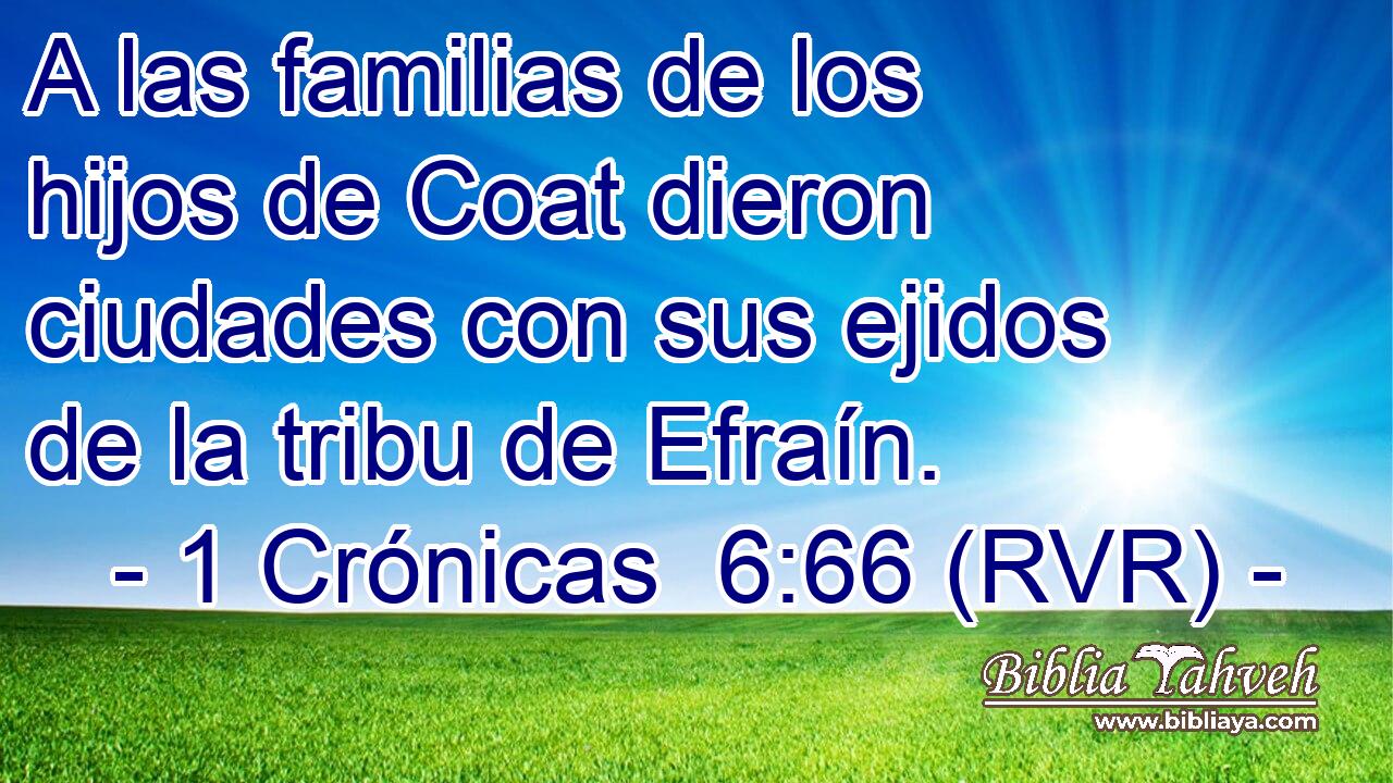 A las familias de los hijos de Coat dieron ciudades con sus ejidos de la tribu de Efraín.