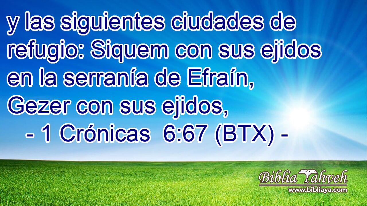 y las siguientes ciudades de refugio: Siquem con sus ejidos en la serranía de Efraín, Gezer con sus ejidos,