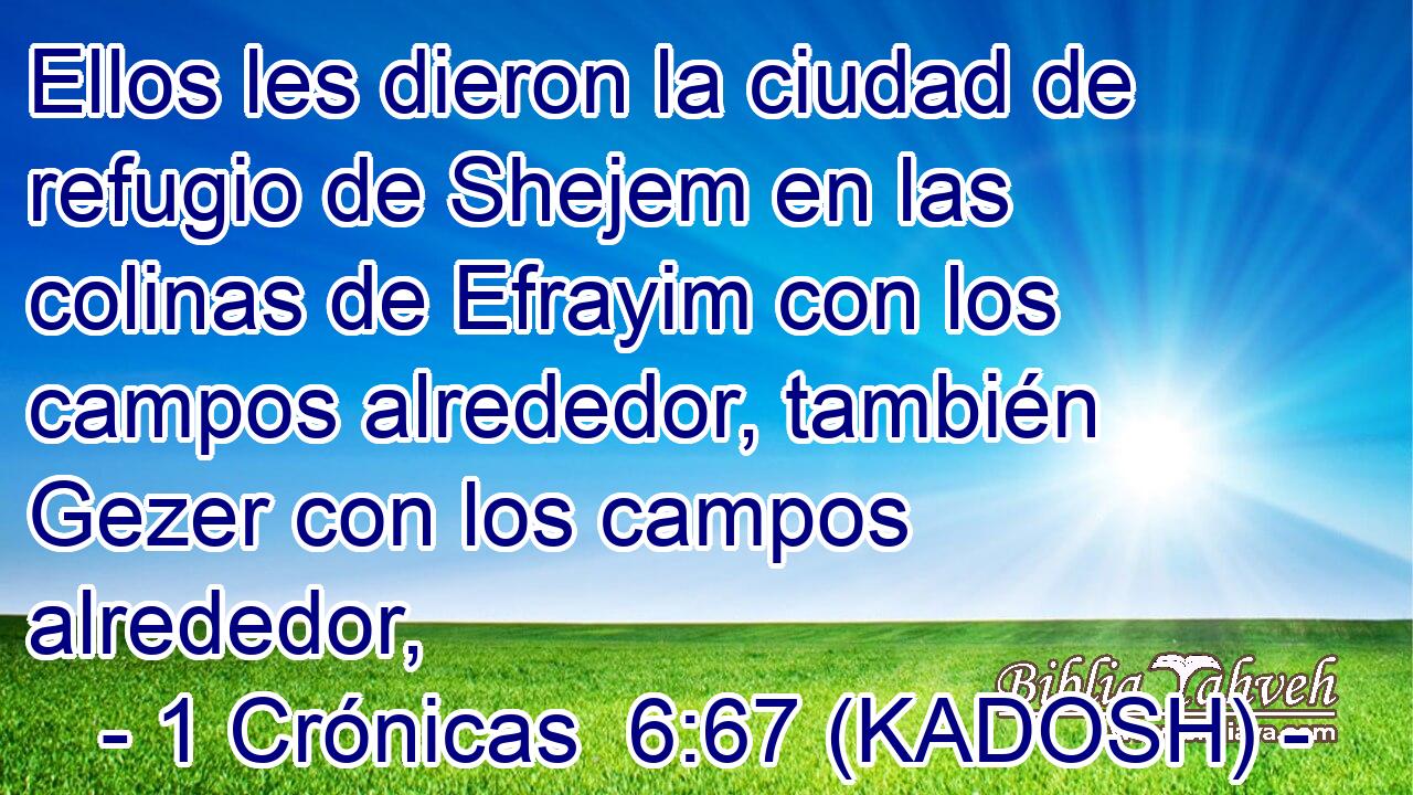  Ellos les dieron la ciudad de refugio de Shejem en las colinas de Efrayim con los campos alrededor, también Gezer con los campos alrededor, 