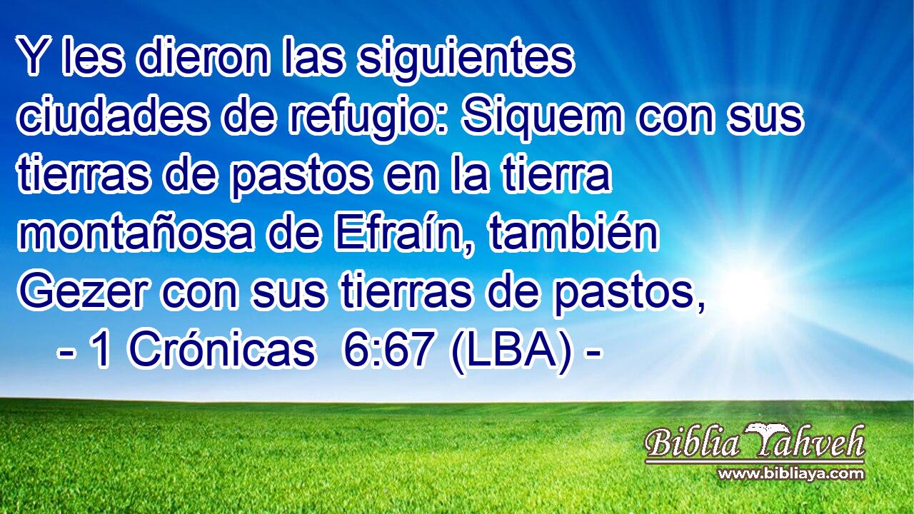 Y les dieron las siguientes ciudades de refugio: Siquem con sus tierras de pastos en la tierra montañosa de Efraín, también Gezer con sus tierras de pastos,