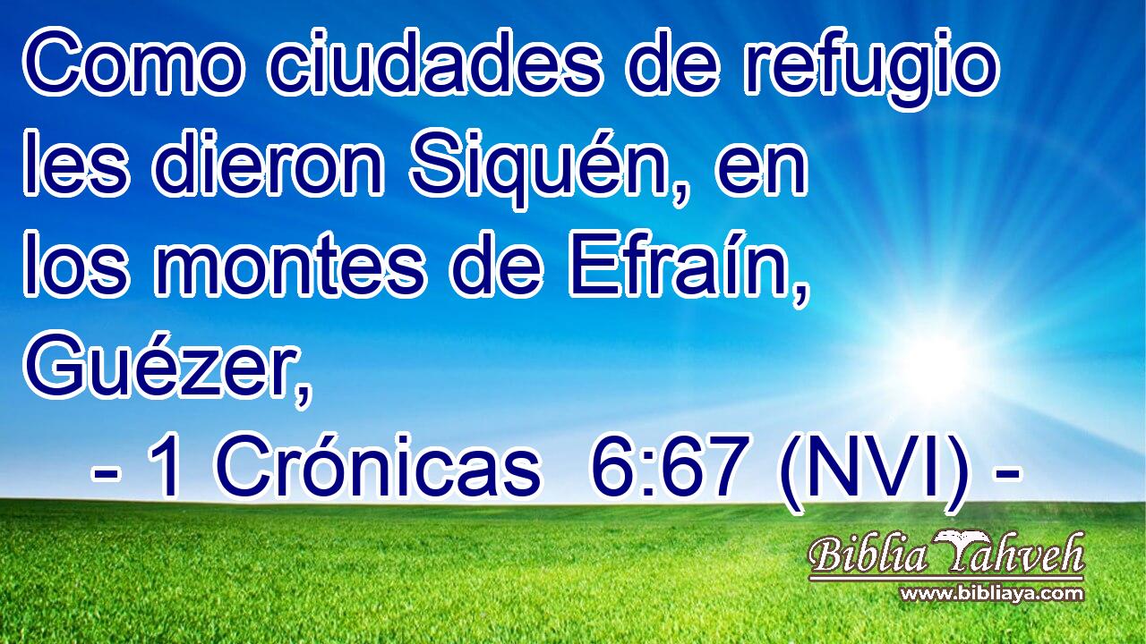  Como ciudades de refugio les dieron Siquén, en los montes de Efraín, Guézer, 