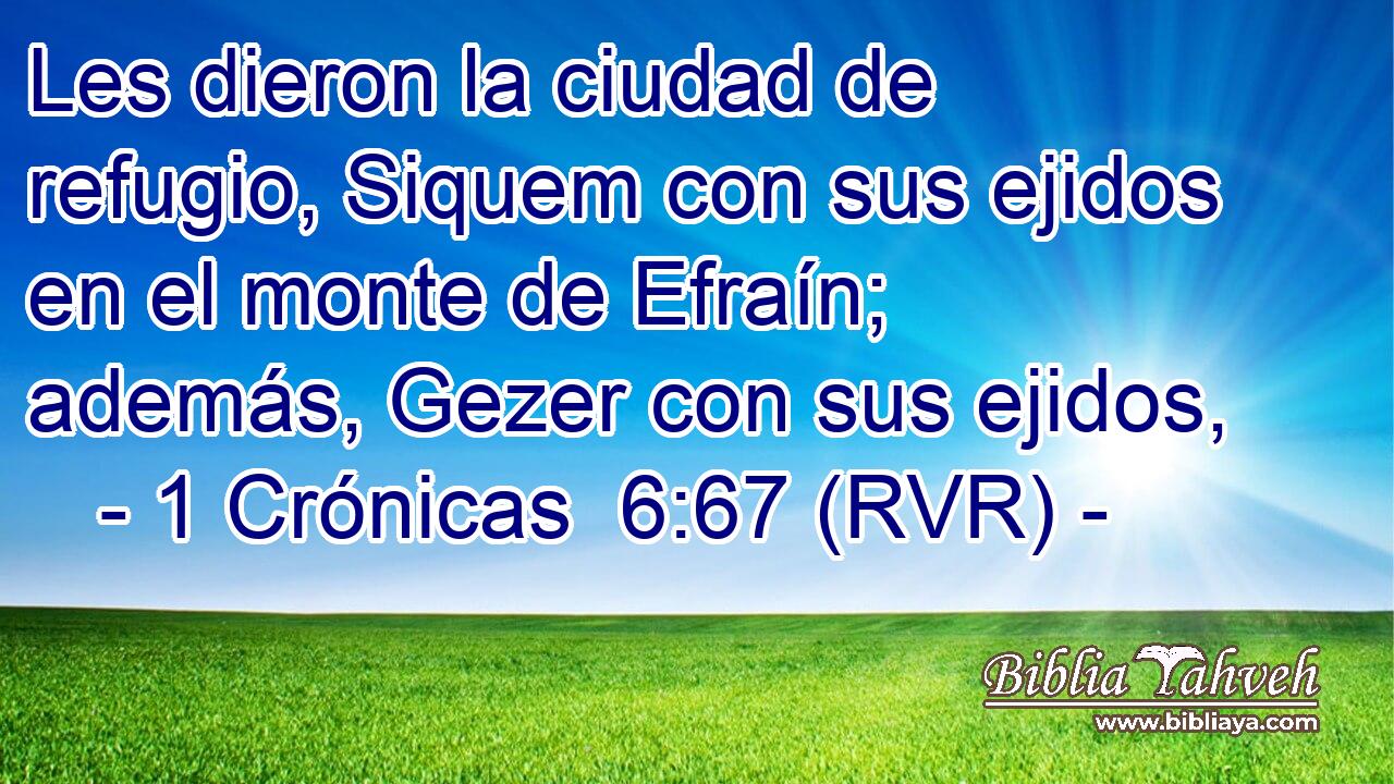 Les dieron la ciudad de refugio, Siquem con sus ejidos en el monte de Efraín; además, Gezer con sus ejidos,